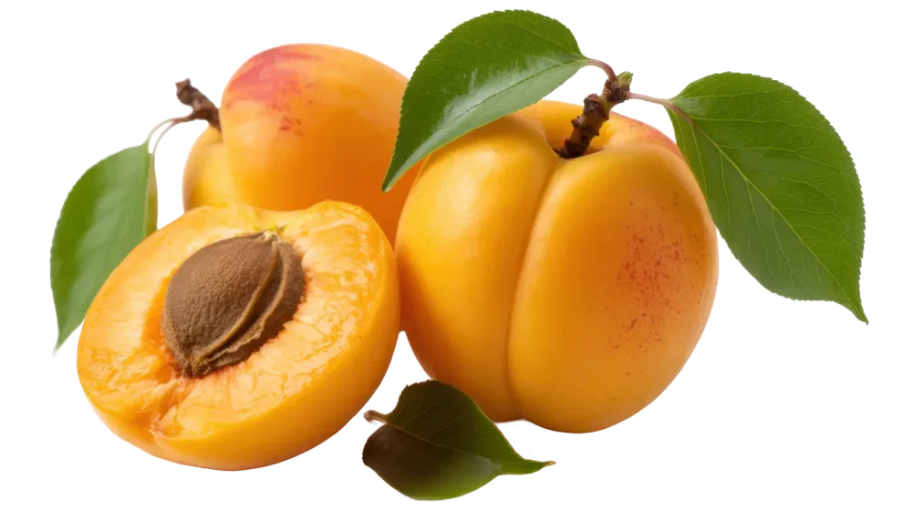 Abricots
