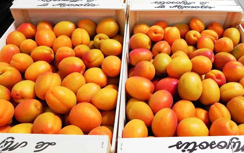 Abricots